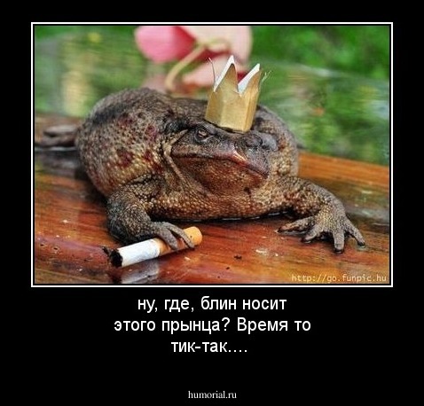 ну, где, блин носит этого прынца? Время то тик-так....
