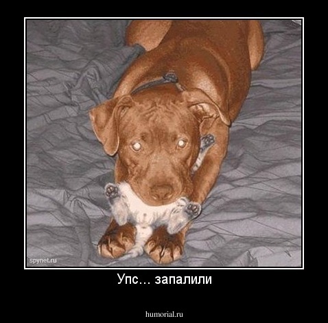 Упс... запалили