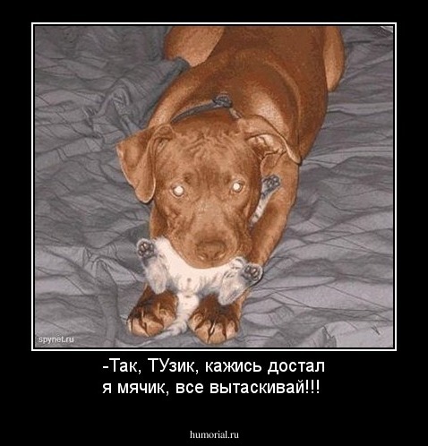 -Так, ТУзик, кажись достал я мячик, все вытаскивай!!!