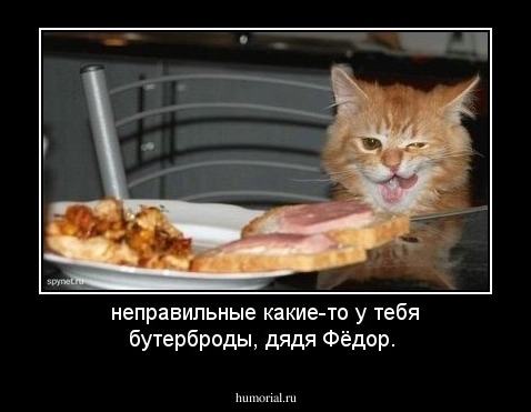 неправильные какие-то у тебя бутерброды, дядя Фёдор.