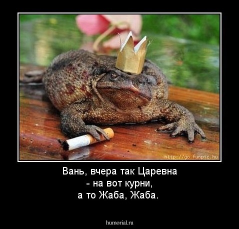 Вань, вчера так Царевна - на вот курни, а то Жаба, Жаба.