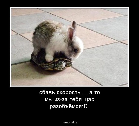 сбавь скорость.... а то мы из-за тебя щас разобъёмся:D