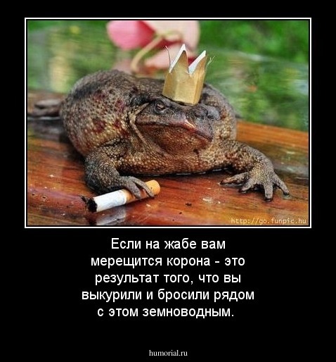 Если на жабе вам мерещится корона - это результат того, что вы выкурили и бросили рядом с этом земноводным.