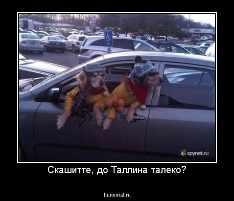 Скашитте, до Таллина талеко?