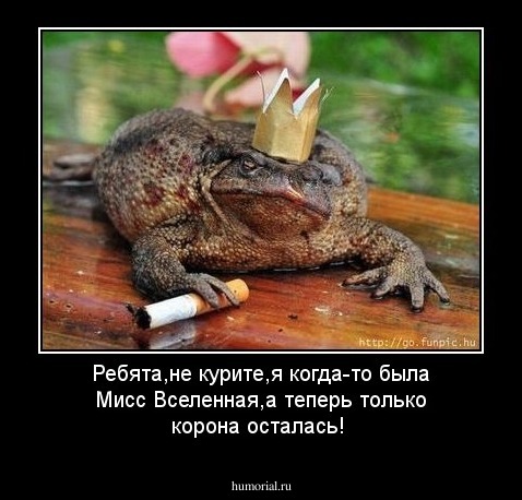Ребята,не курите,я когда-то была Мисс Вселенная,а теперь только корона осталась!