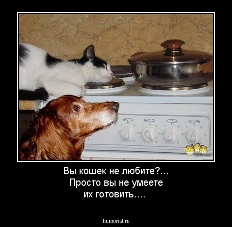 Вы кошек не любите?... Просто вы не умеете их готовить....