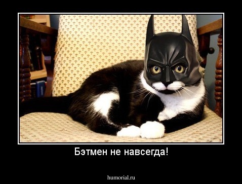 Бэтмен не навсегда!