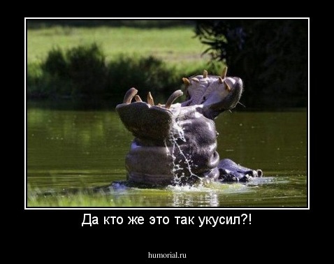 Да кто же это так укусил?!