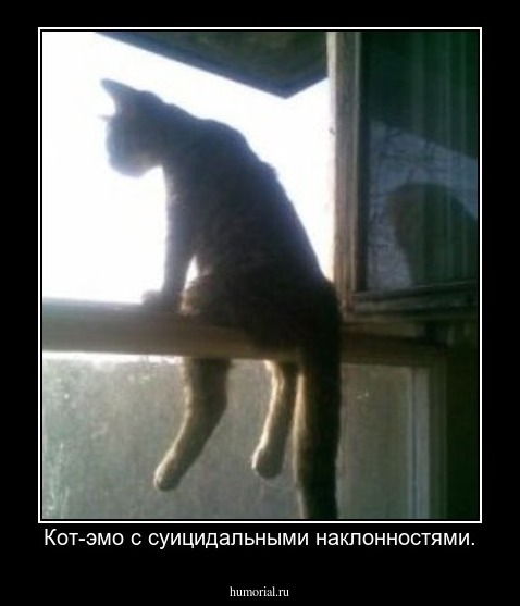 Кот-эмо с суицидальными наклонностями.
