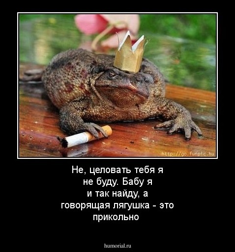 Не, целовать тебя я не буду. Бабу я и так найду, а говорящая лягушка - это прикольно