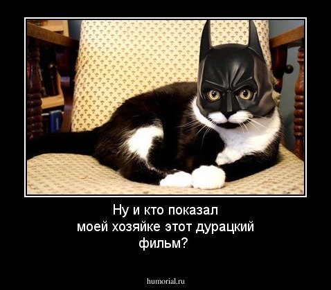 Ну и кто показал моей хозяйке этот дурацкий фильм?