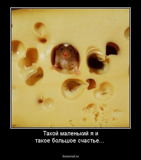 Такой маленький я и такое большое счастье...