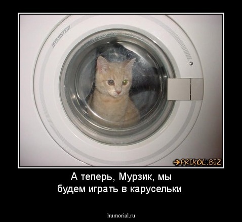 А теперь, Мурзик, мы будем играть в карусельки
