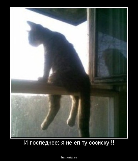 И последнее: я не ел ту сосиску!!!
