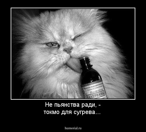 Не пьянства ради, - токмо для сугрева...