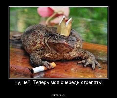 Ну, чё?! Теперь моя очередь стрелять!