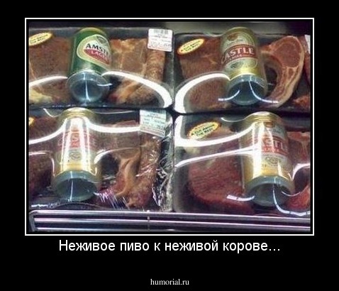 Неживое пиво к неживой корове...