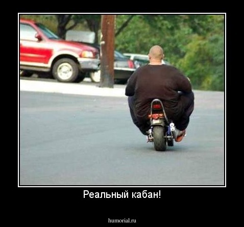 Реальный кабан!