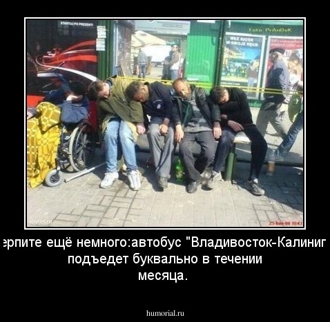 Потерпите ещё немного:автобус "Владивосток-Калиниград" подъедет буквально в течении месяца.