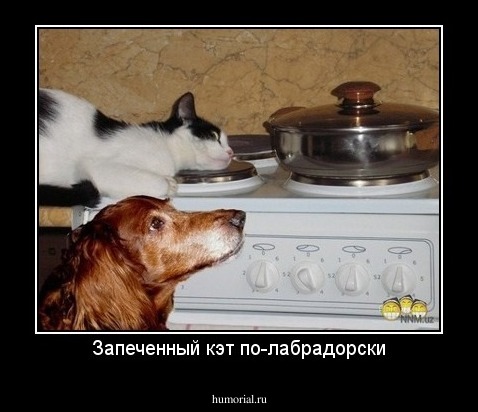 Запеченный кэт по-лабрадорски