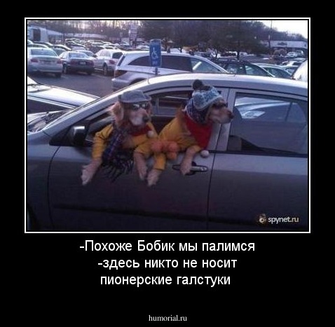 -Похоже Бобик мы палимся -здесь никто не носит пионерские галстуки
