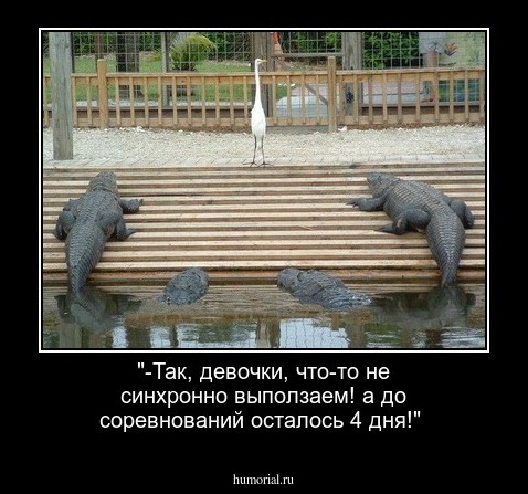 "-Так, девочки, что-то не синхронно выползаем! а до соревнований осталось 4 дня!"