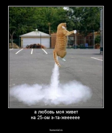 а любовь моя живет на 25-ом э-та-жееееее