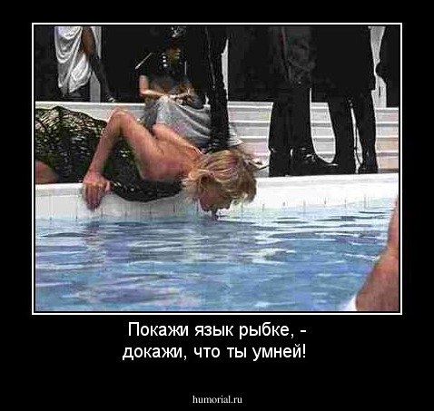 Покажи язык рыбке, - докажи, что ты умней!