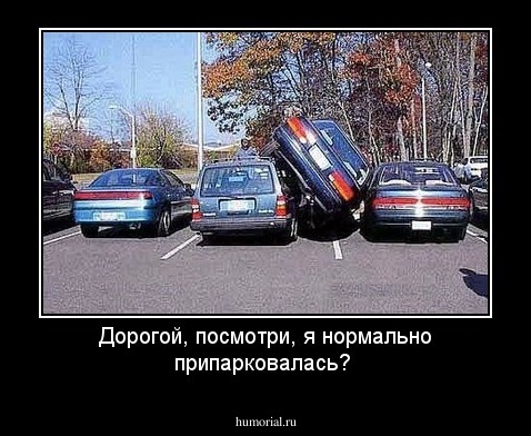 Дорогой, посмотри, я нормально припарковалась?