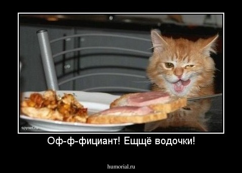 Оф-ф-фициант! Ещщё водочки!