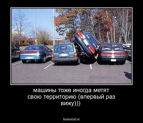 машины тоже иногда метят свою территорию (впервый раз вижу)))