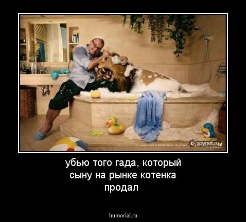 убью того гада, который сыну на рынке котенка продал
