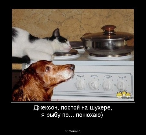 Джексон, постой на шухере, я рыбу по... понюхаю)
