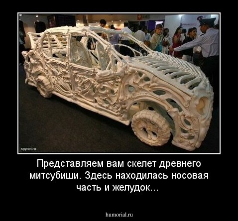 Представляем вам скелет древнего митсубиши. Здесь находилась носовая часть и желудок...