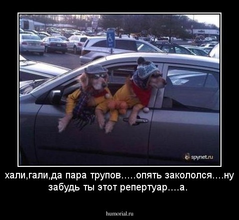 хали,гали,да пара трупов.....опять закололся....ну забудь ты этот репертуар....а.