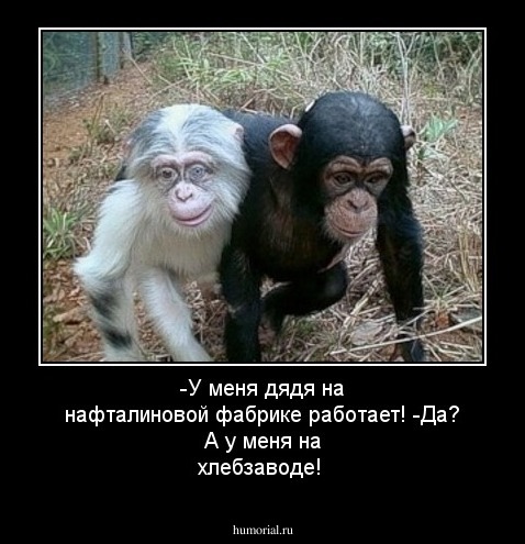 -У меня дядя на нафталиновой фабрике работает! -Да? А у меня на хлебзаводе!