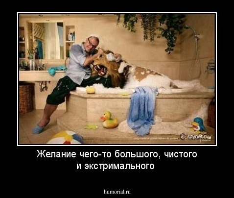 Желание чего-то большого, чистого и экстримального