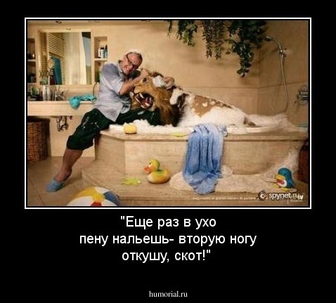 "Еще раз в ухо пену нальешь- вторую ногу откушу, скот!"