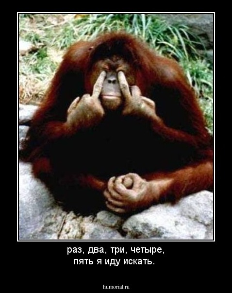 раз, два, три, четыре, пять я иду искать.