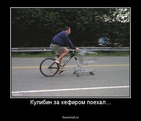 Кулибин за кефиром поехал...