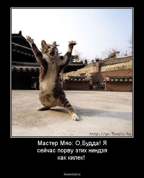 Мастер Мяо: О,Будда! Я сейчас порву этих ниндзя как килек!
