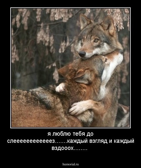 я люблю тебя до слеееееееееееез.......каждый взгляд и каждый вздооох........