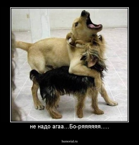 не надо агаа...Бо-ряяяяяя.....