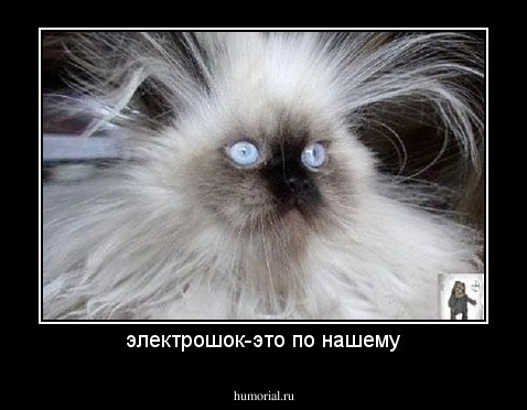 электрошок-это по нашему