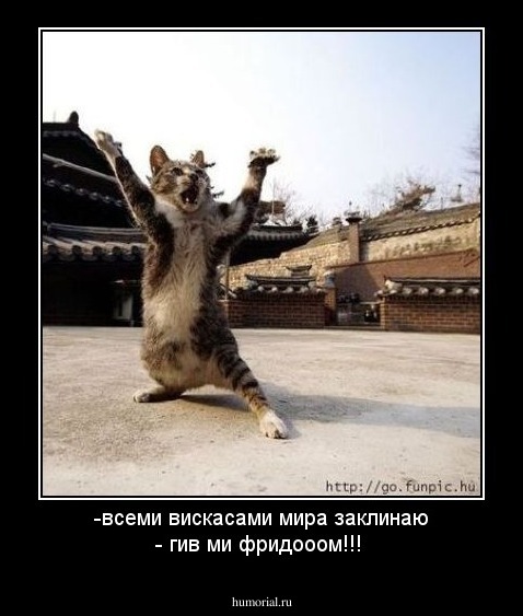 -всеми вискасами мира заклинаю - гив ми фридооом!!!