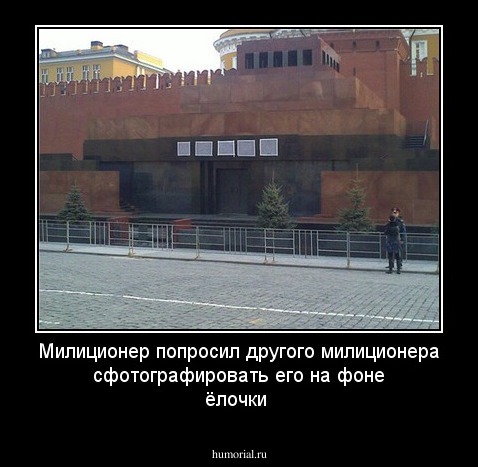 Милиционер попросил другого милиционера сфотографировать его на фоне ёлочки