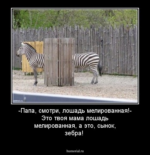  -Папа, смотри, лошадь мелированная!- Это твоя мама лошадь мелированная, а это, сынок, зебра!
