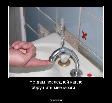 Не дам последней капле обрушить мне мозги...