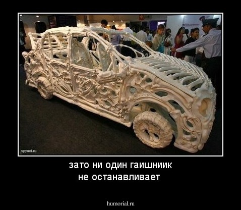 зато ни один гаишниик не останавливает