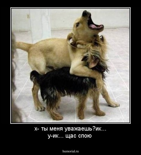 x- ты меня уважаешь?ик...
y-ик... щас спою